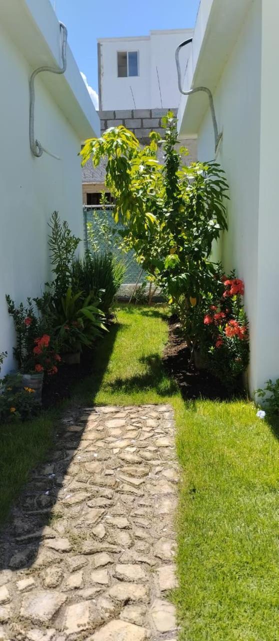 Casa Merengue Las Terrenas Εξωτερικό φωτογραφία